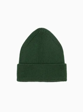 Beanie Conifer