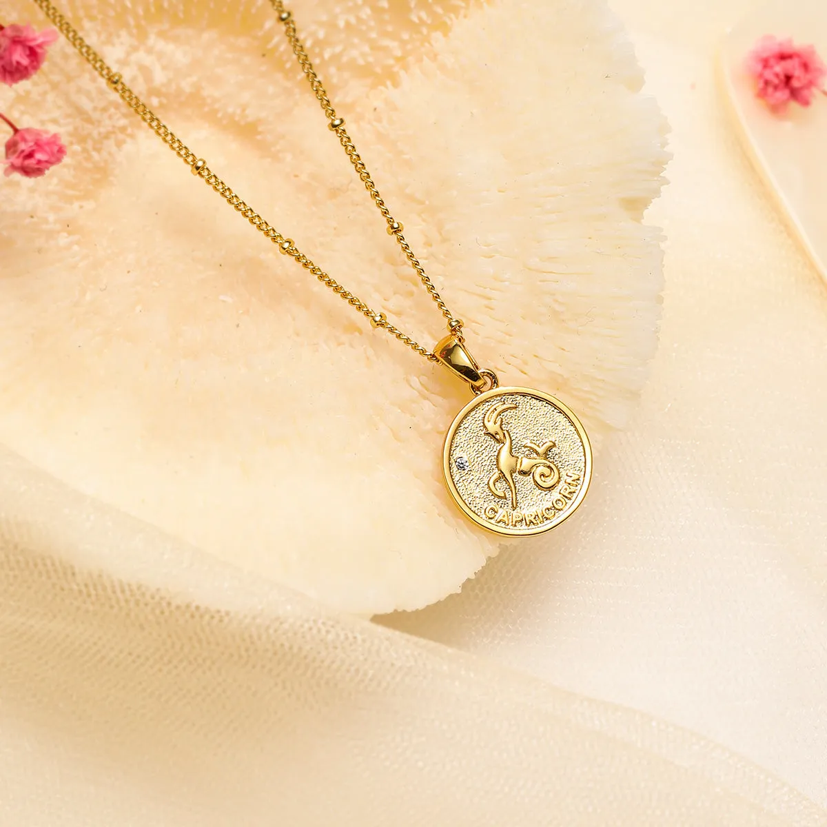 Capricorn Constellation Coin Pendant Necklace