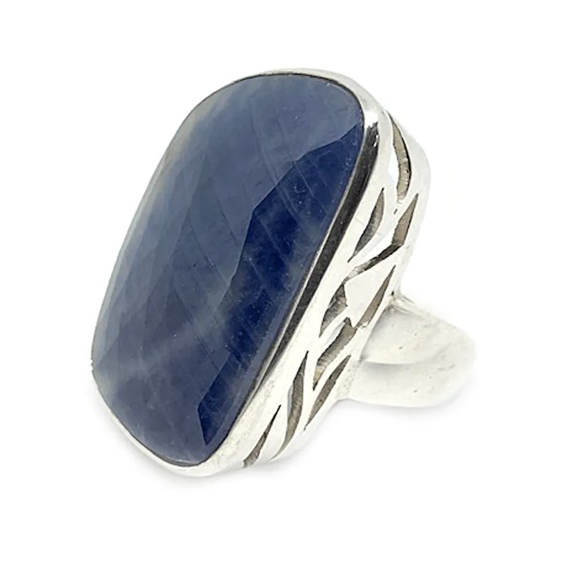 Sodalite Gemstone Statement Ring