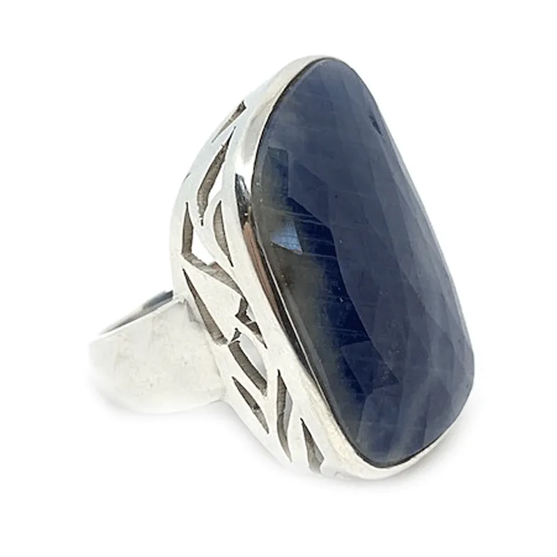 Sodalite Gemstone Statement Ring